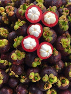 Mangosteen