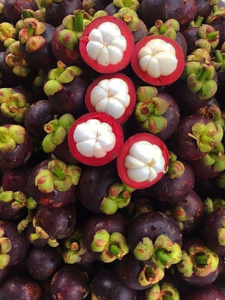 Mangosteen