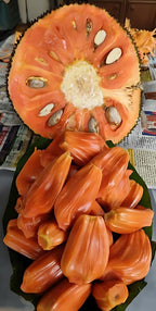 Red jackfruit